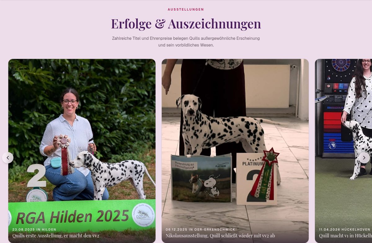 Beispiel einer Ausstellungs-Sektion: Foto-Galerie mit Datum, Ort und Ergebnis je Eintrag