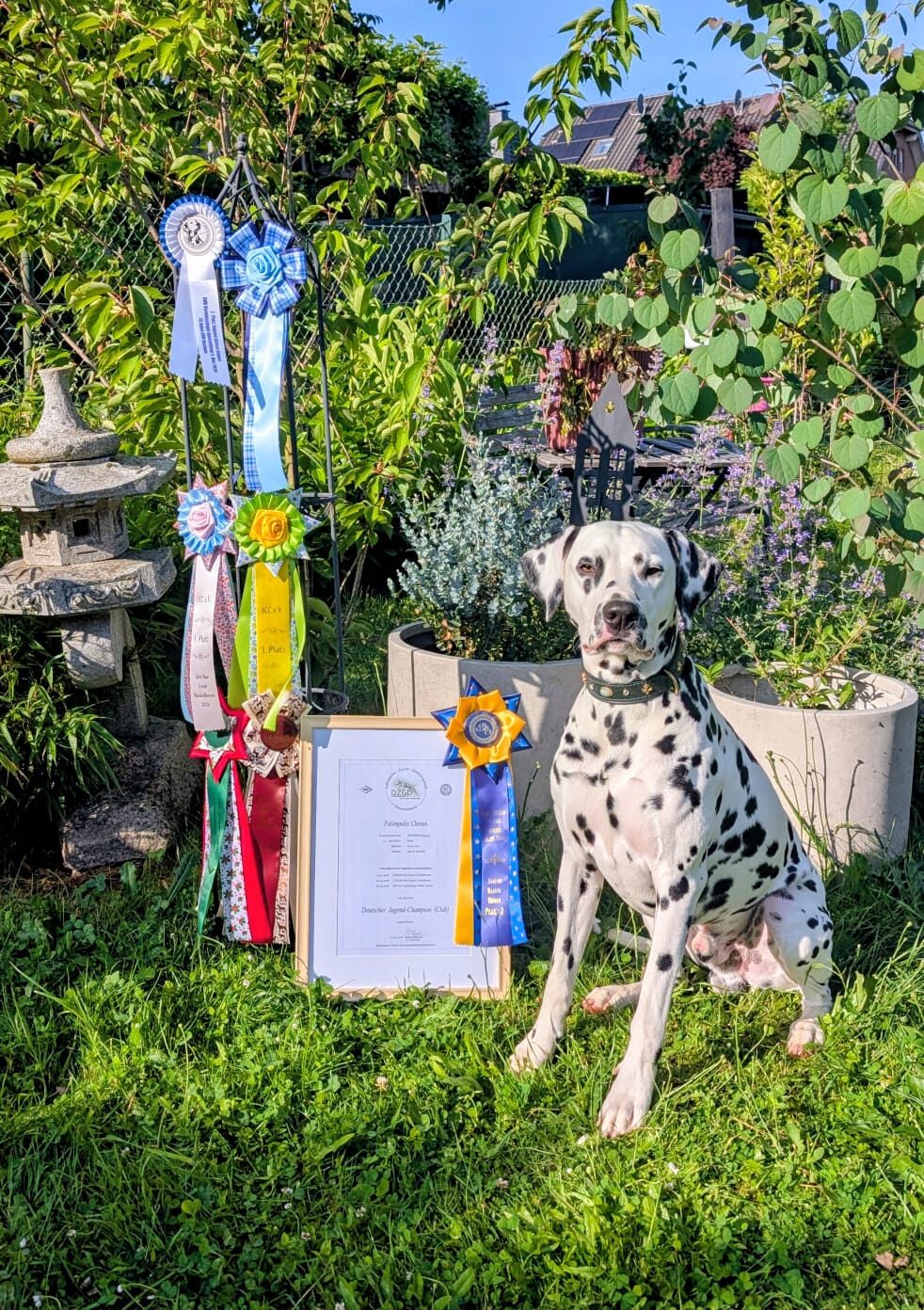 Bello als Jugend-Champion (Club)