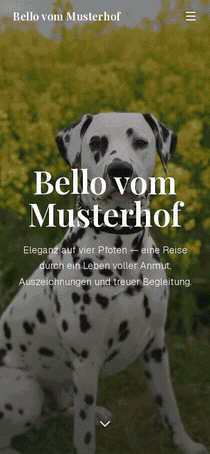 Bildschirmaufnahme am Handy: Die Beispielseite wird von oben nach unten durchgescrollt — vom Hero über „Werdegang“ und „Mein Leben“ bis zu den Ausstellungen, wobei jede Sektion bildschirmfüllend einrastet. In der Galerie „Mein Leben“ wird zwischendurch seitwärts durch die Fotos gewischt.